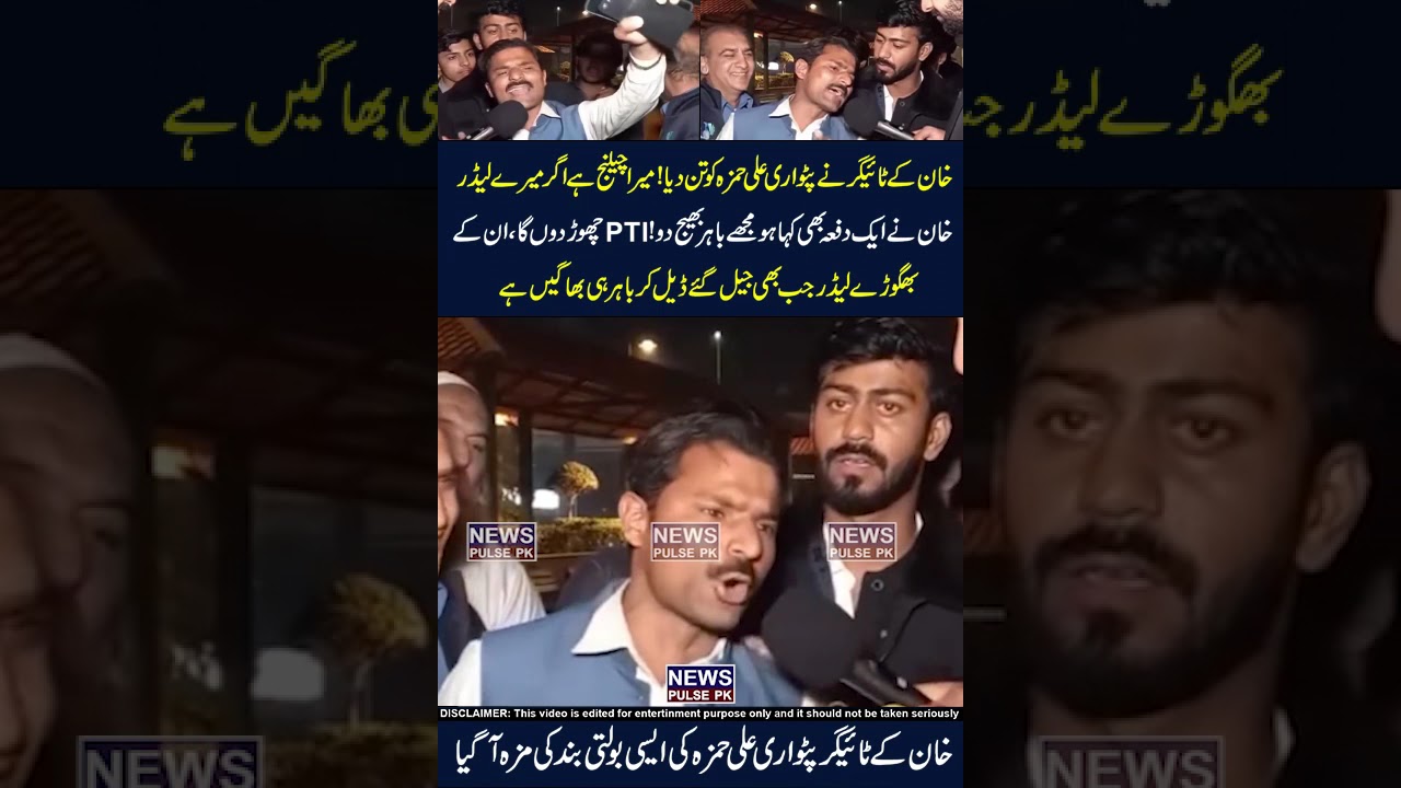 Pti Tiger Challange To Patwari Ali Hamza 🤣😜😥 #publicopinion #publicreaction #petrol #iranisraelwar