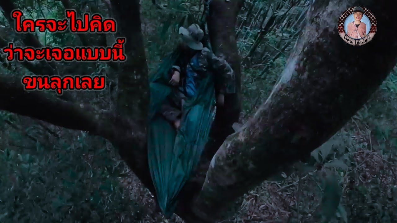 ผูกเปลนอน บนต้นไม้ เฝ้าดูสัตว์ป่ามากินผลไม้ ใครจะไปคิดว่าจะเจอแบบนี้ ขนลุกหมดเลย