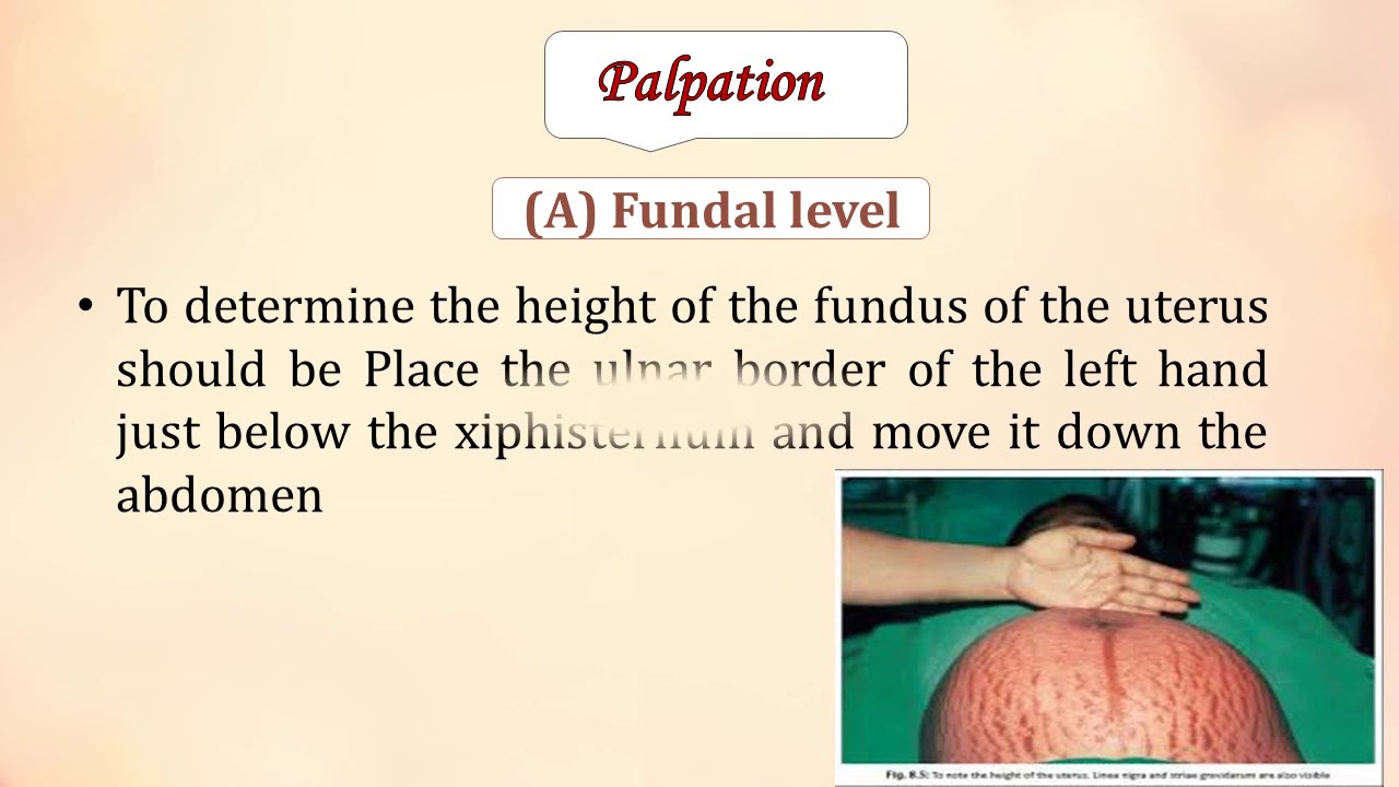 abdominal examination