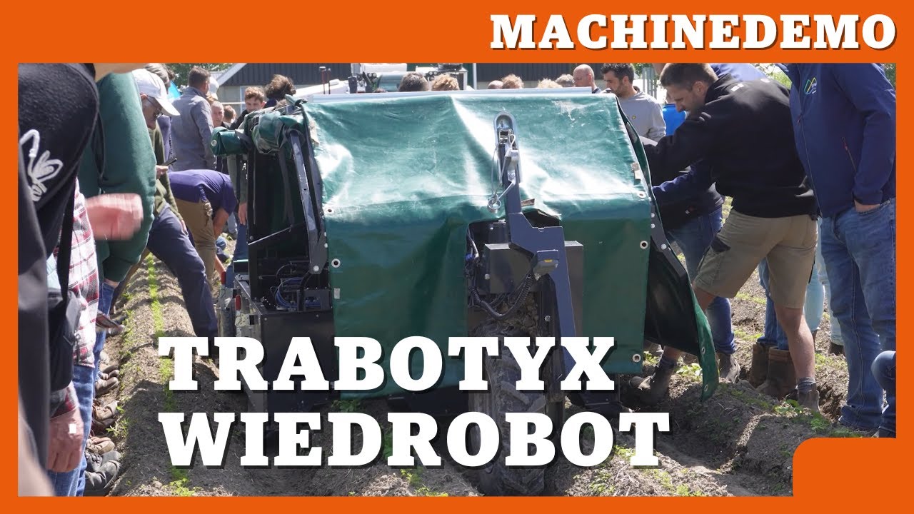Trabotyx: wieden dicht bij de plant