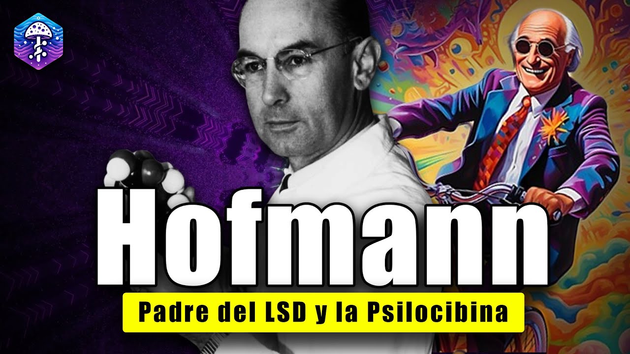HOFMANN 👨‍🔬 El químico que descubrió al LSD, LSA y Psilocibina