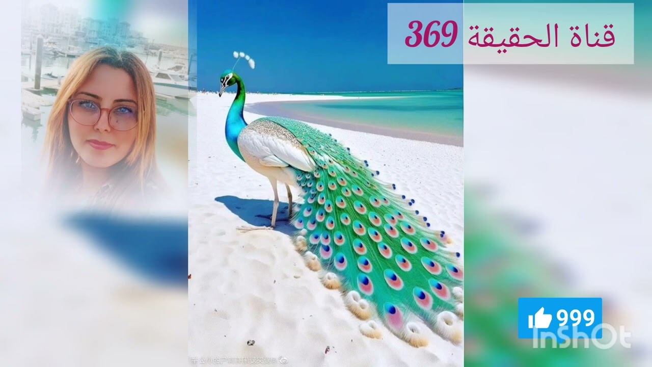 توأم الشعلة مرحلة فقدان الشغف بالنسبة للهارب
