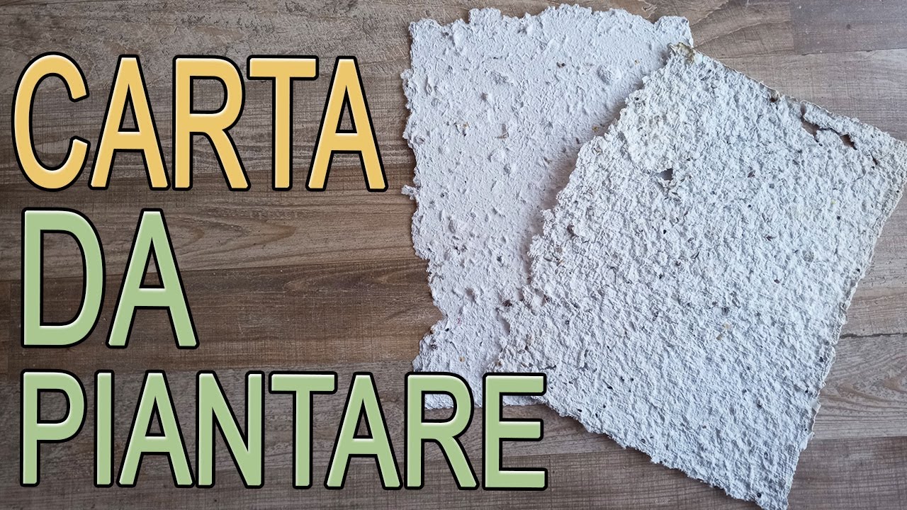 CARTA riciclata con semi - carta da piantare fai da te - Arte Green