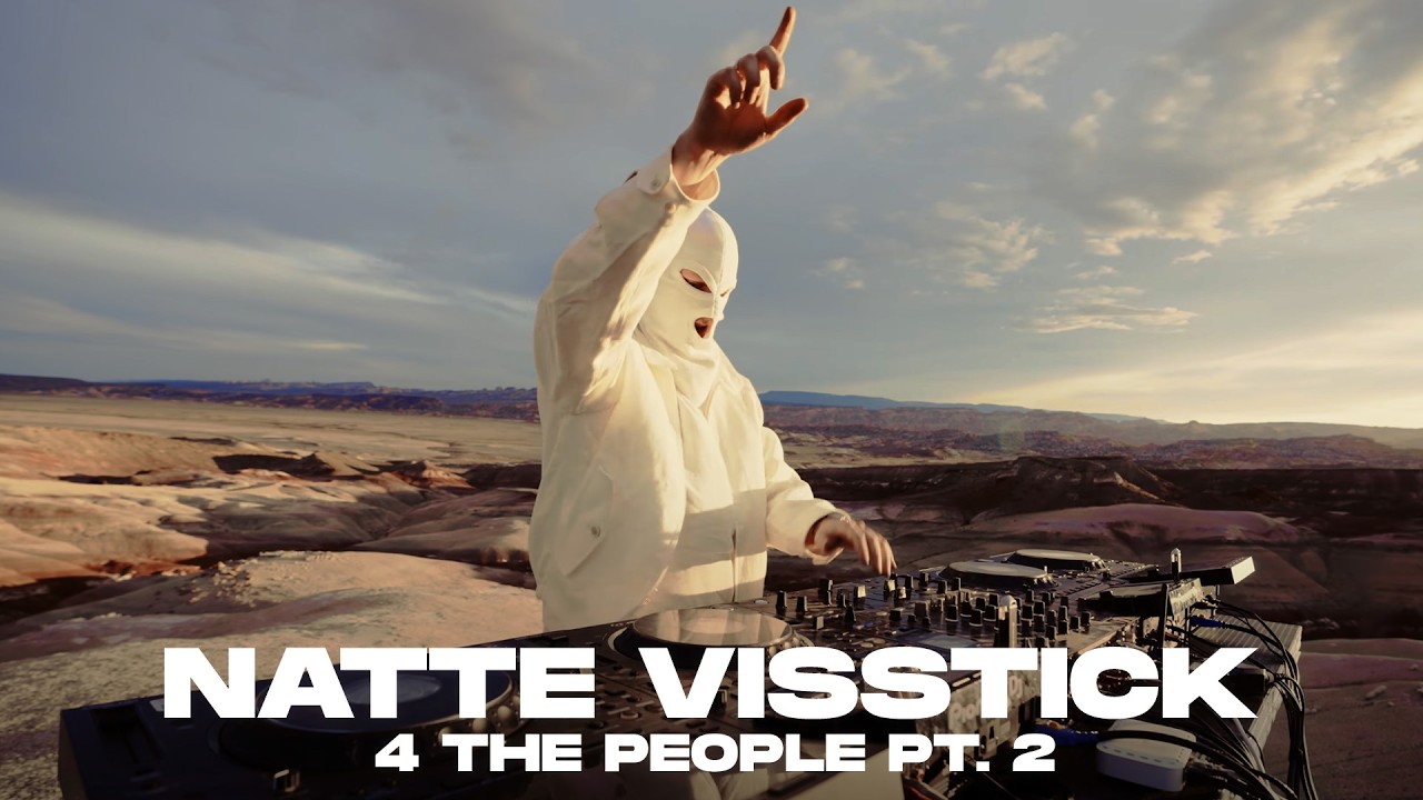 NATTE VISSTICK 4 THE PEOPLE Pt. 2 (DJ SET)