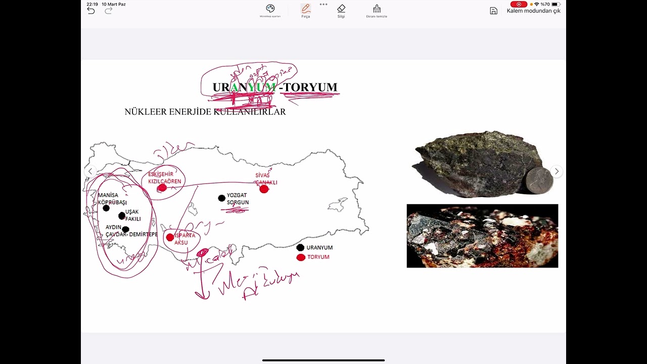 Türkiye madenler konu ve sorusu