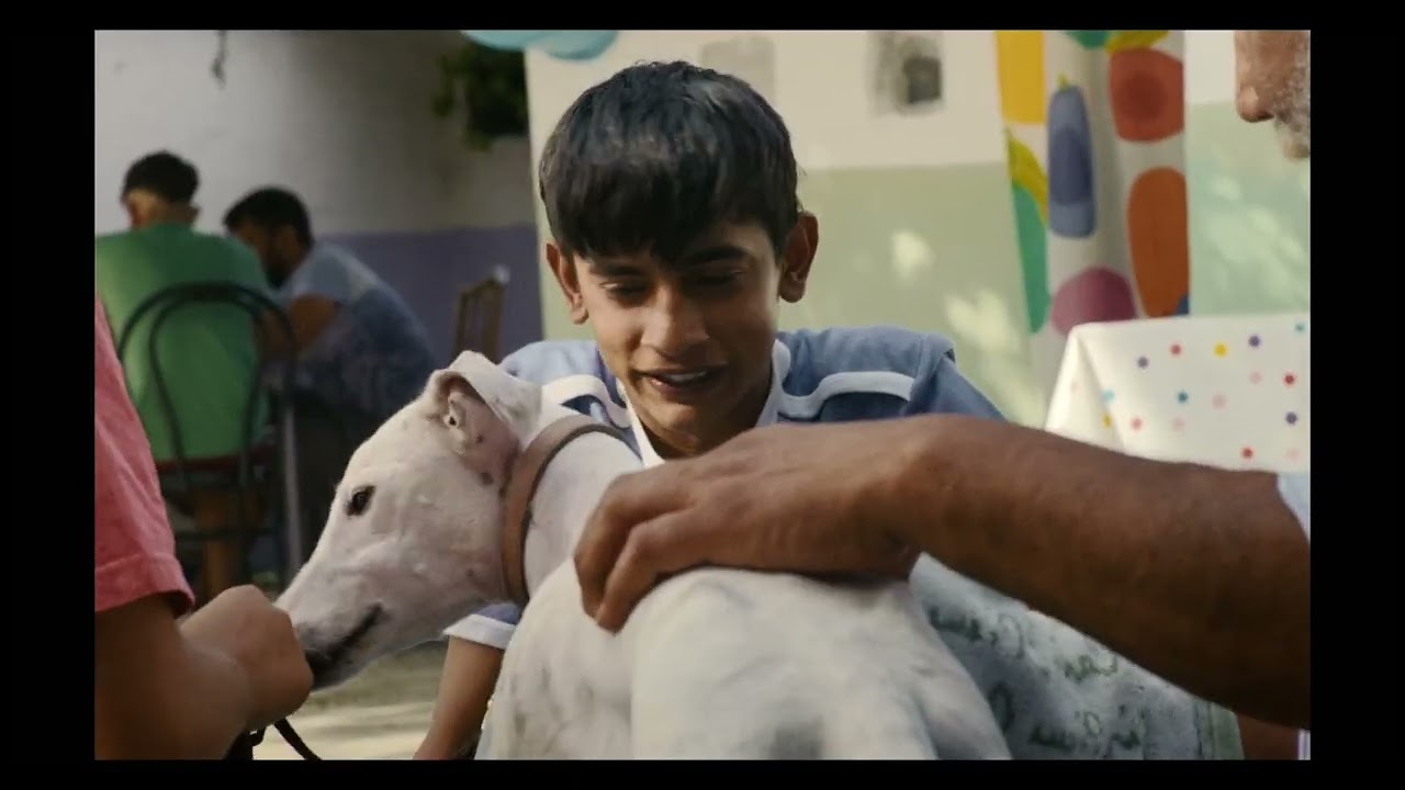 Ciudad sin sue&ntilde;o (Proyecciones especiales) TRAILER - #70Seminci  |  @SEMINCI