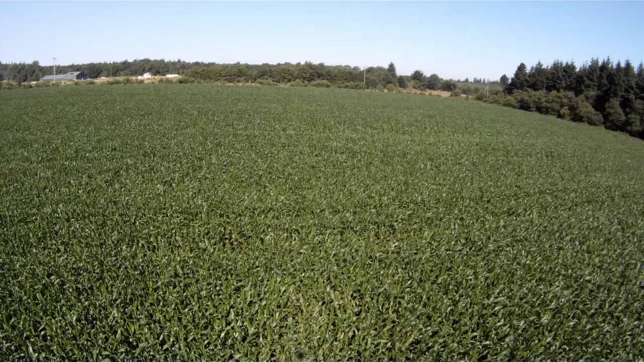 Ausschnitte 2012