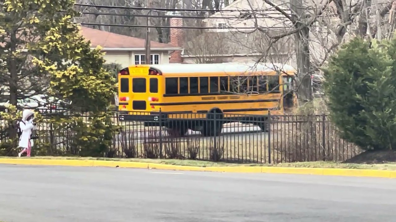 All school buses doing their Elementary school run in my development
