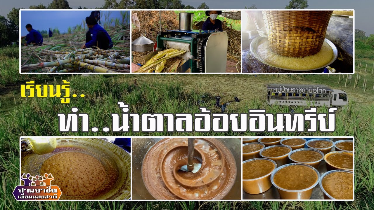 เรียนรู้..