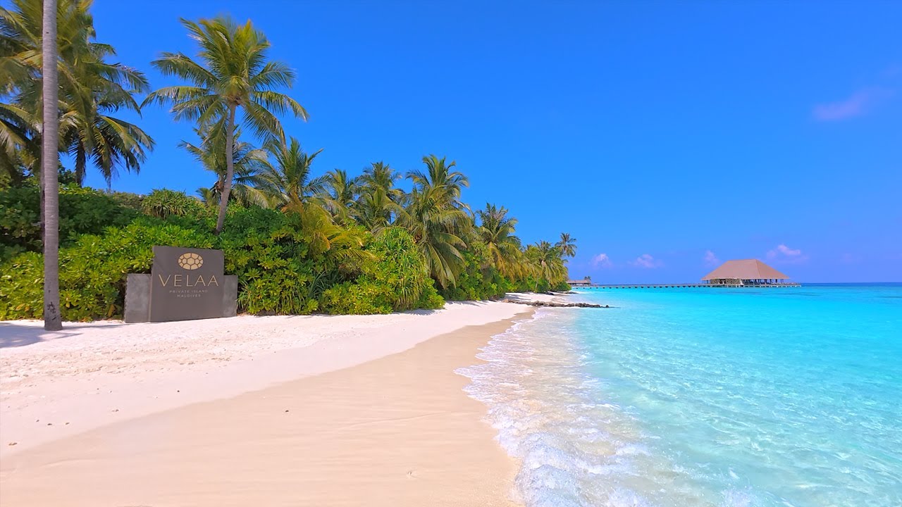 🏝 Paradise Found: Maldives Beach and Crystal Blue Waters. Ocean 4K Ultra HD
