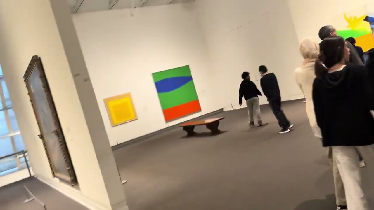 🖼️ art