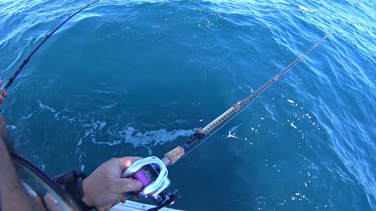 Giant SoCal Rockfish on Bait and Slow Pitch June 2020 Part 2