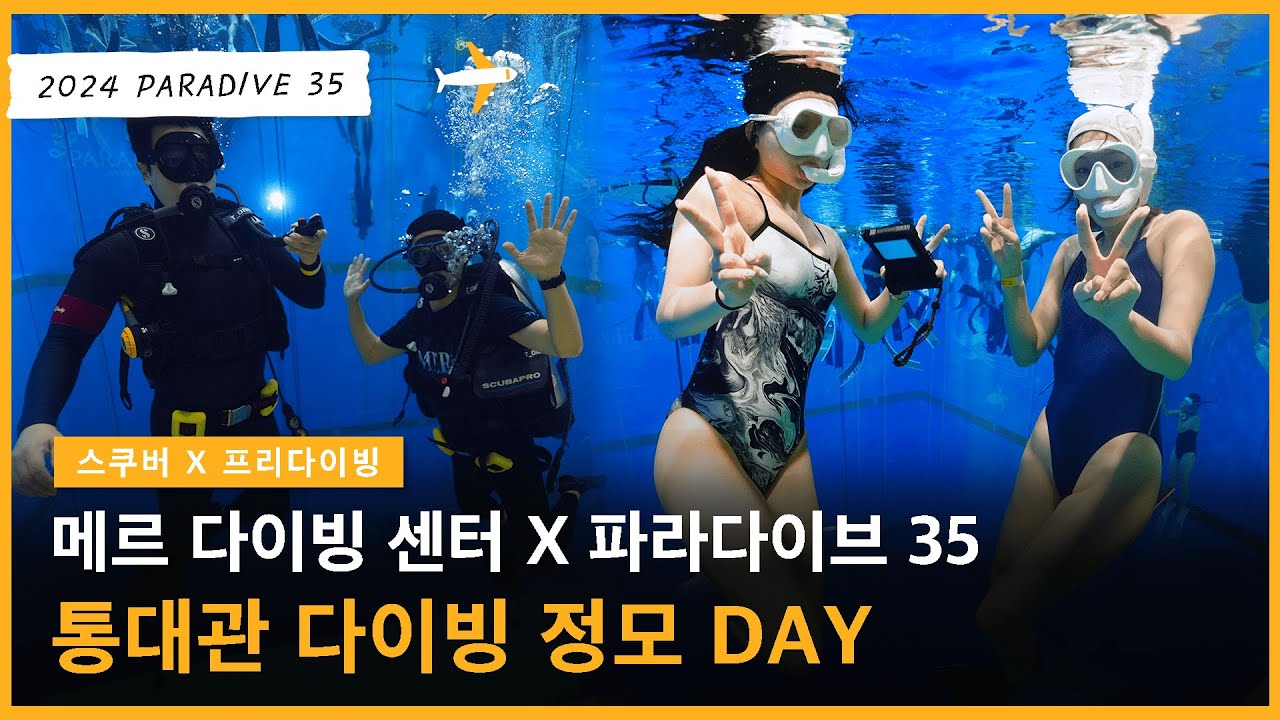 메르다이빙센터 X 파라다이브35 통대관 DAY✨ 메르와 함께 놀아요!😘 #메르 #프리다이빙 #파라다이브