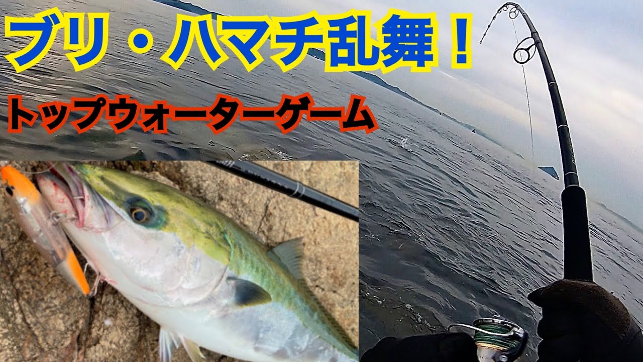 【青物】磯からプラッキングでブリ登場⁉️〜下津井DREAMを掴むまで〜