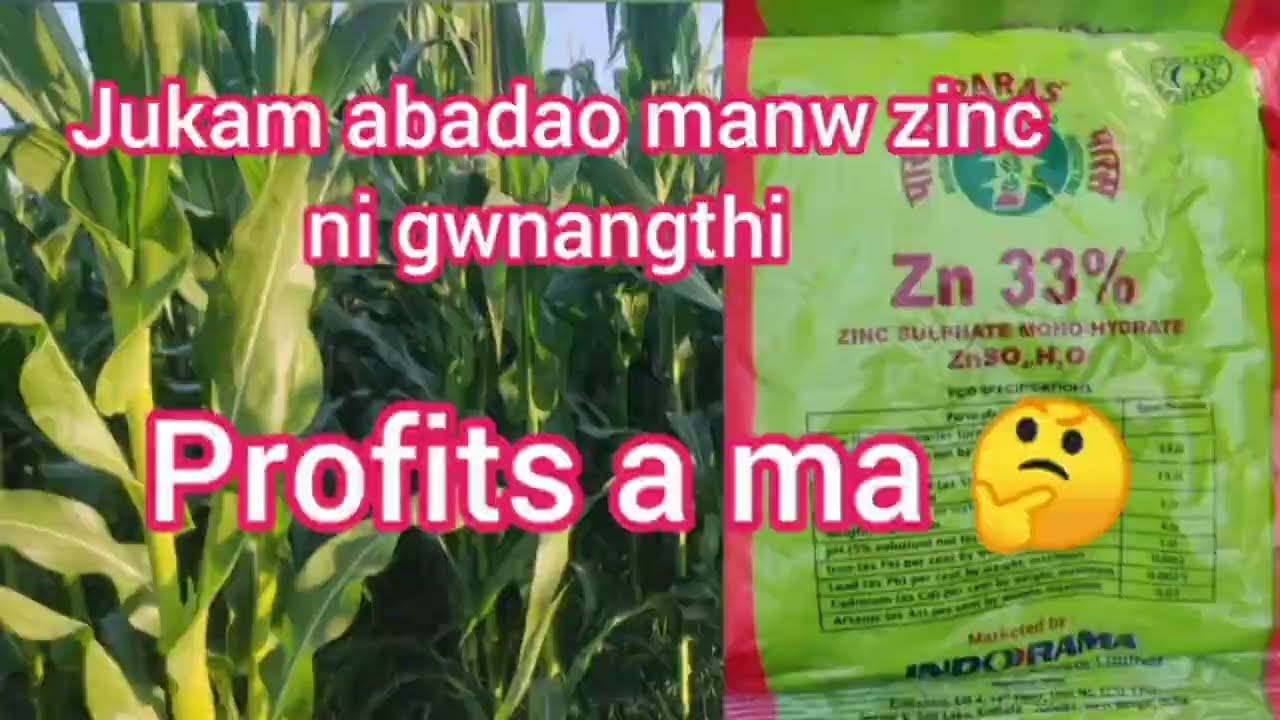 Jukam abadao zinc ni profit.