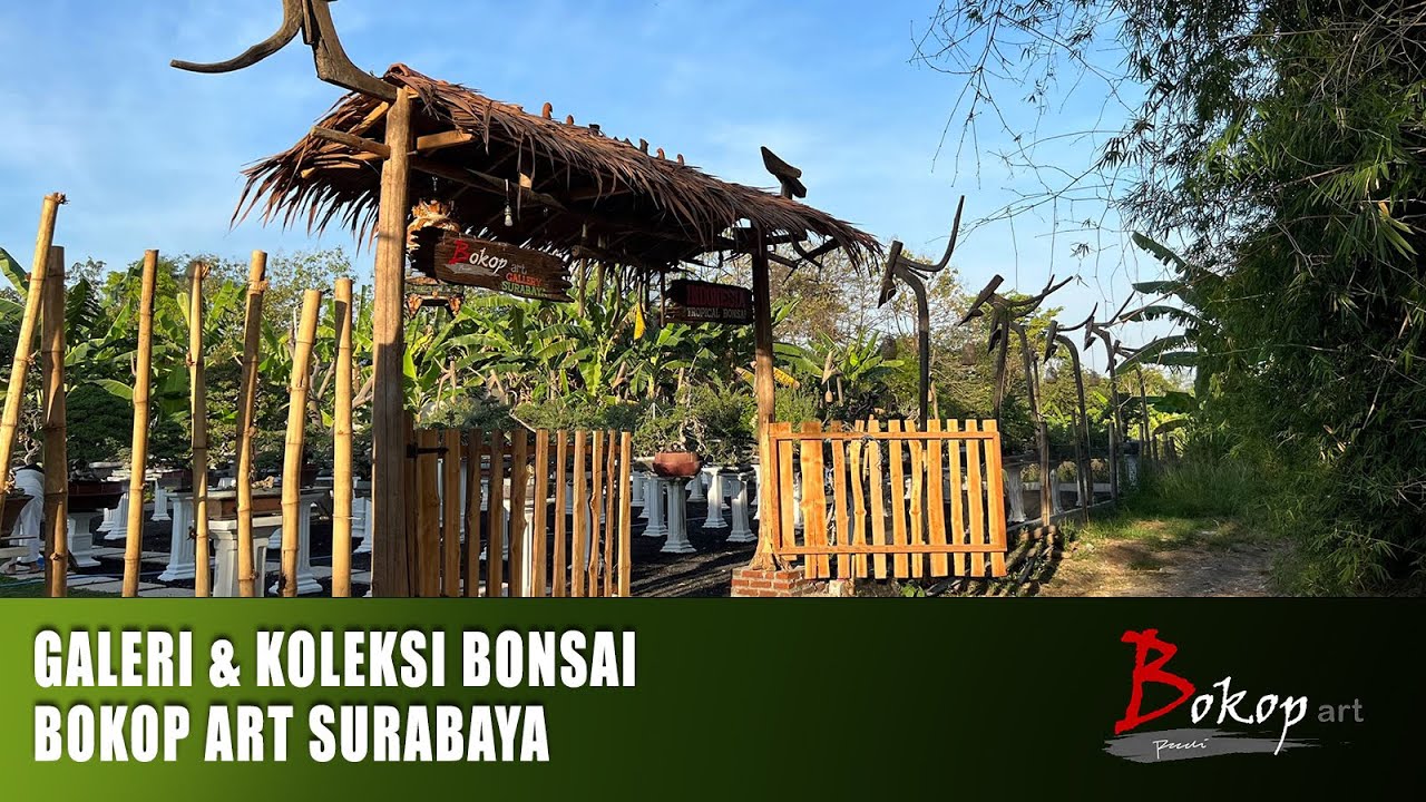 GALERI & KOLEKSI BONSAI BOKOP ART SURABAYA