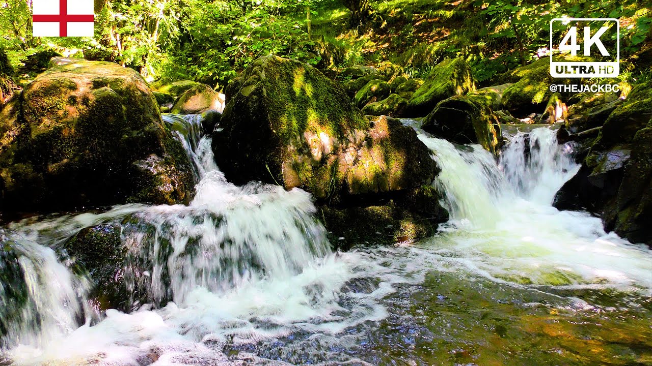 4K Forest River Background | Lake District | Relaxing Ambient Wallpaper | 375
