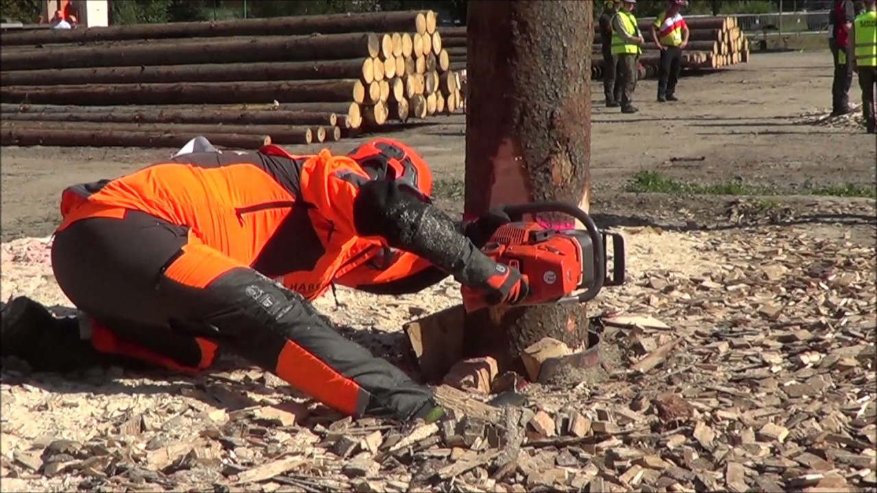 WLC Wisla Poland 2016 - DAY 2 - drevorubci-ceska.cz