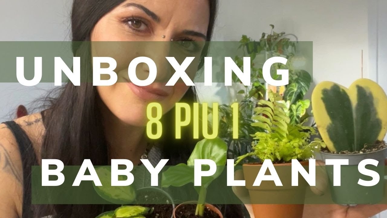 UNBOXING 8 BABY PLANTS PIU 1!