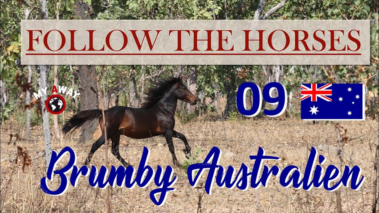 09 Australiens Brumbies