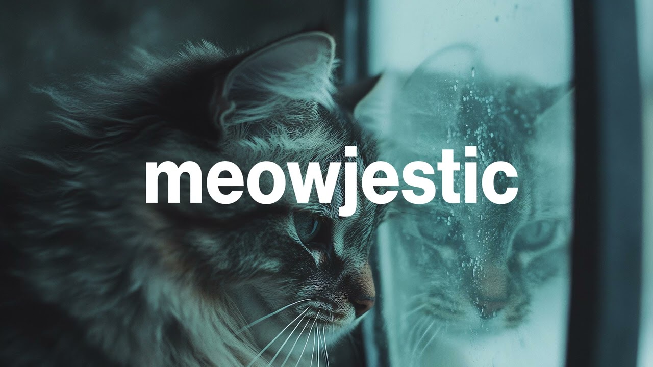 Meowjestic - What was I meowed for?
