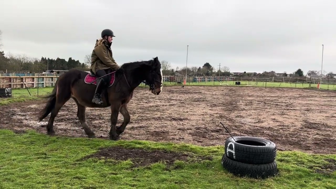 Eriders Feb 26 - Main Arena Intro 1b Restricted 
