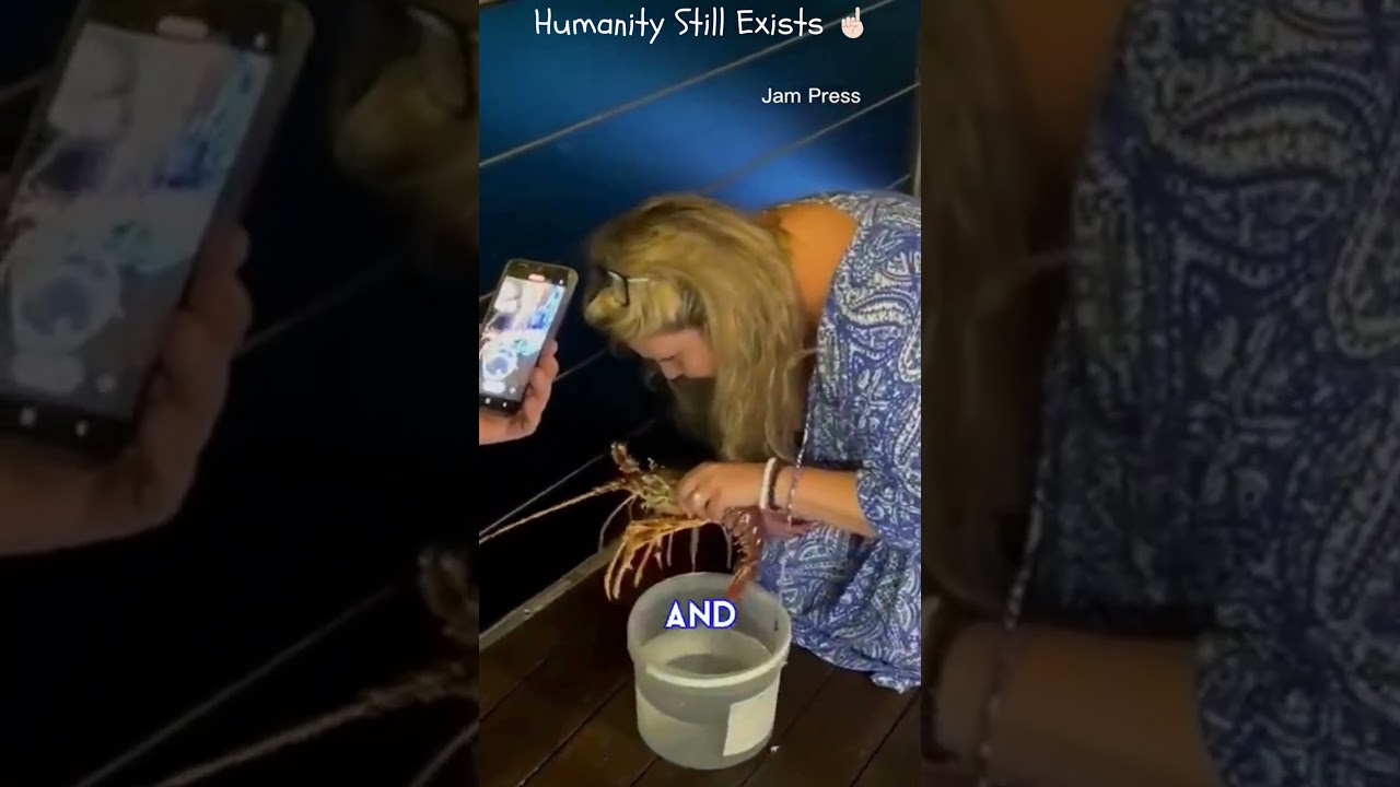 Woman pays $200 for a Live Lobster at a Restaurant just to set it Free