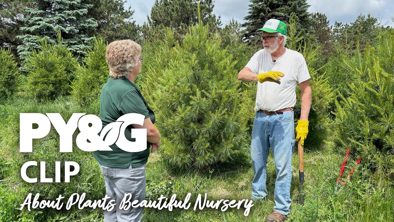About Plants Beautiful Nursery | Plants Beautiful | Prairie Yard & Garden 3903