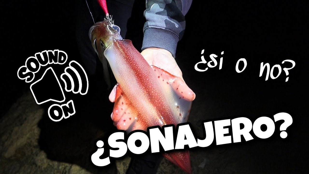 PESCA MÁS CALAMARES con SONAJERO o SIN SONAJERO | EGING desde costa