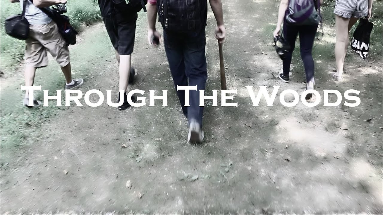 Through The Woods | Alex Atiyeh