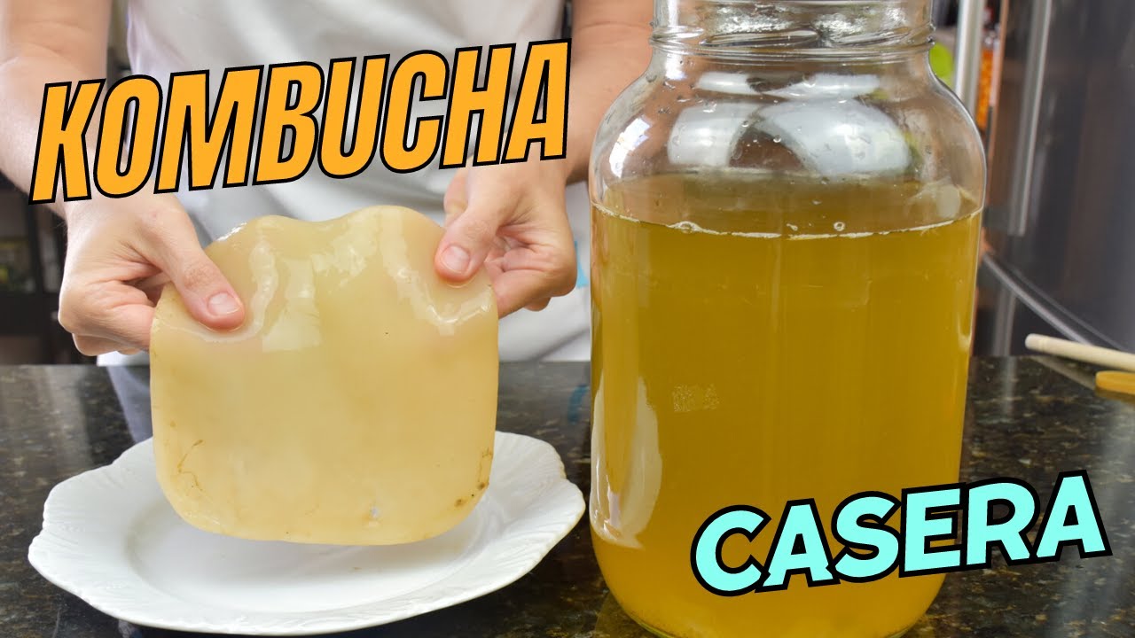 Cómo hago KOMBUCHA en casa