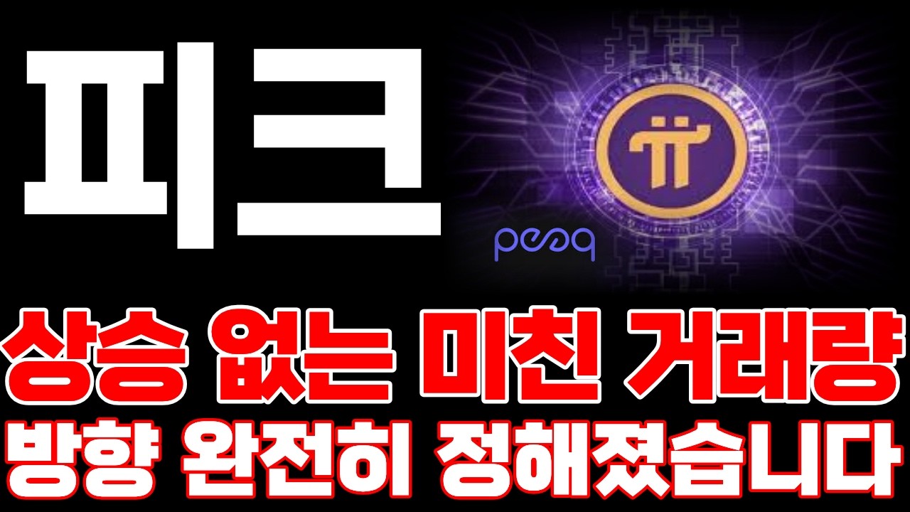 [피크 코인] 상승 없는 미친 거래량 방향 완전히 정해졌습니다! #피크코인