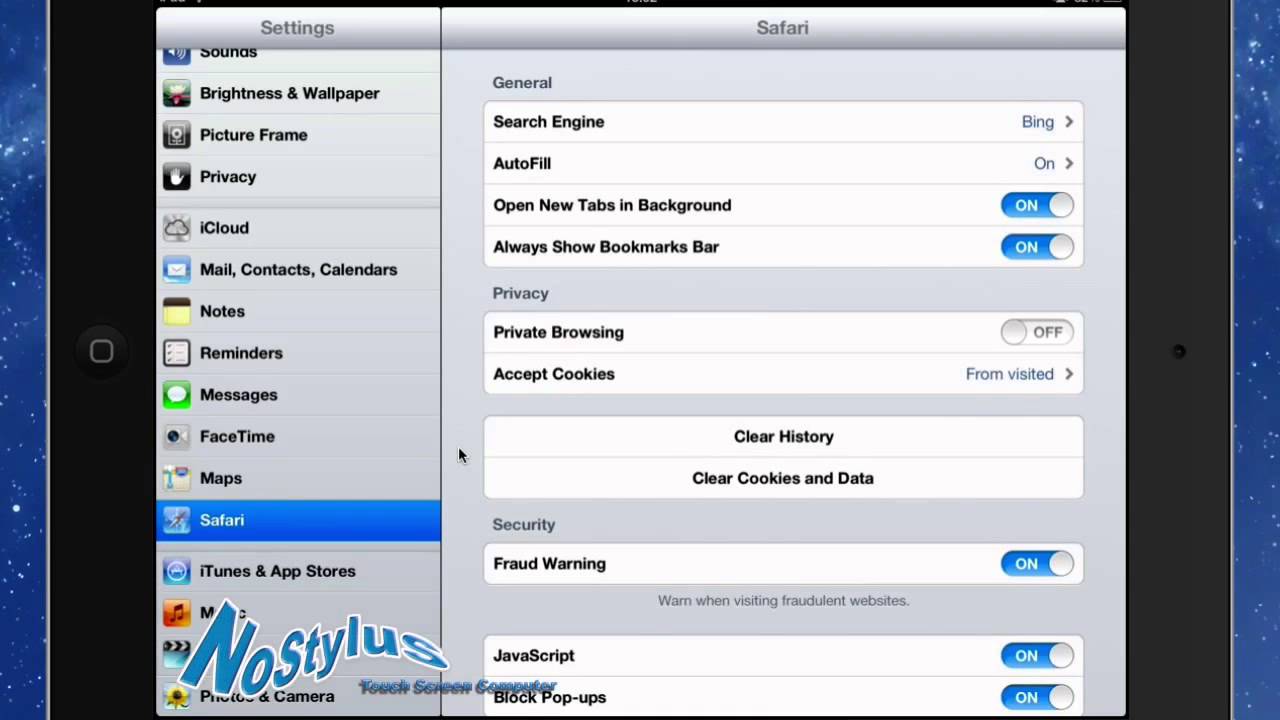Safari Settings on iPad