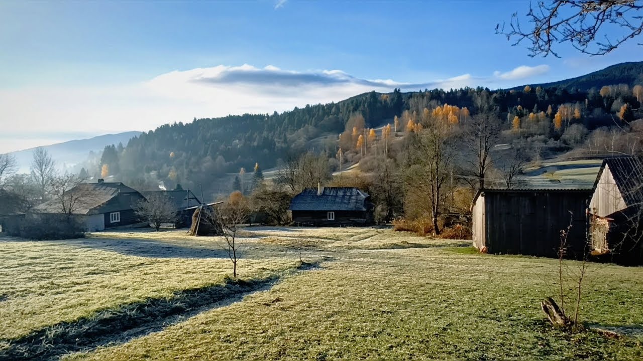 Frosty Morning in the Carpathian Mountains ❄️ | Peaceful Village Life in Ukraine