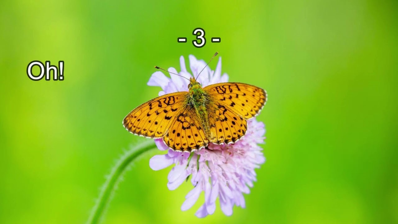 Vers toi, monte notre hommage | #106 Hymnes & Louanges | Instrumental piano