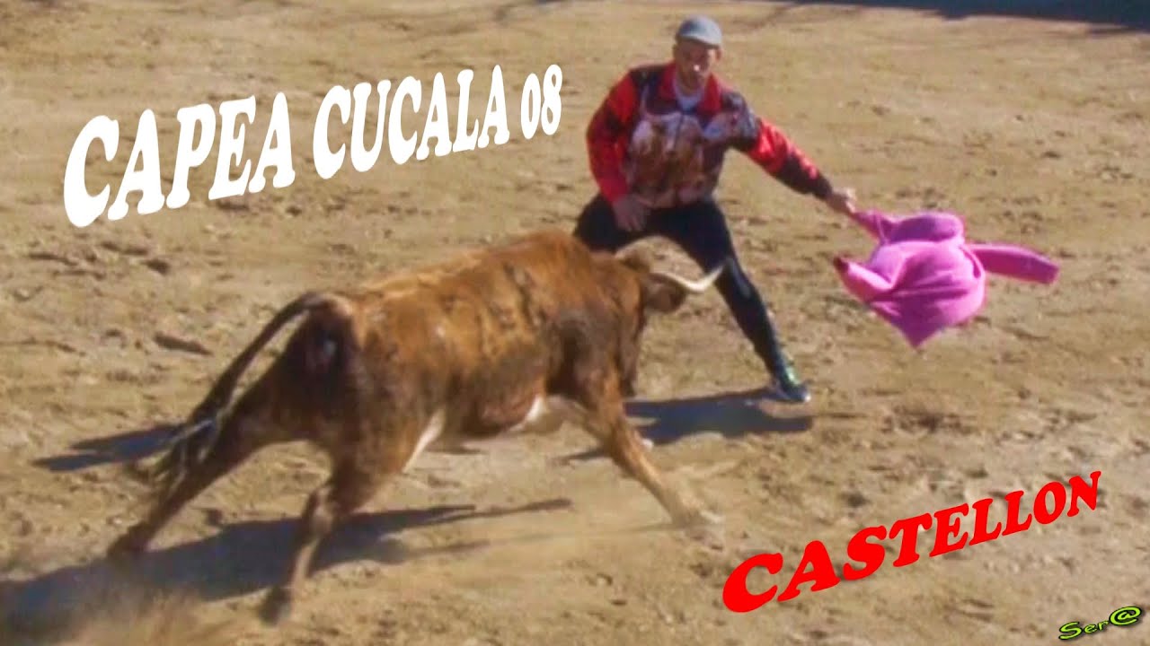 ✅2019 Alcala de Chisvert 08 ◾ Finca Cucala Capea