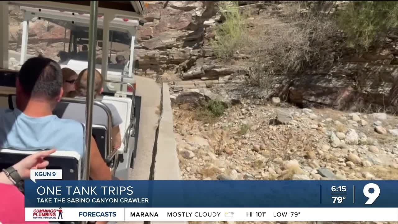 One Tank Trip Sabino Canyon