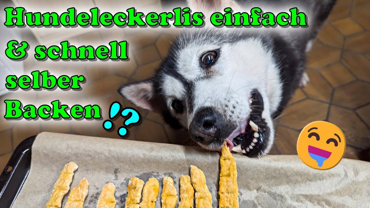 Hundeleckerlies selber machen - super einfache und variable Rezepte mit alltägliche Zutaten 🤗🍪🐕