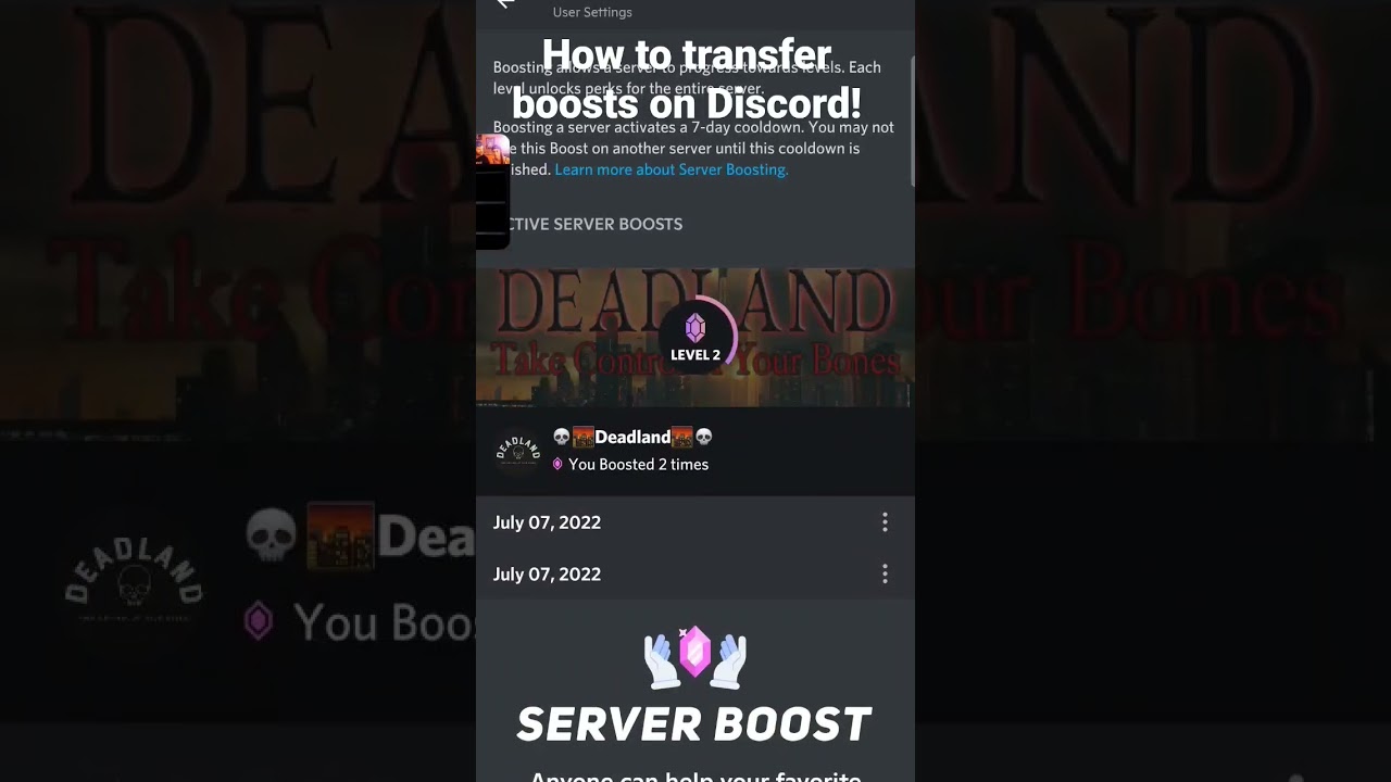 How to Transfer boosts on Discord!