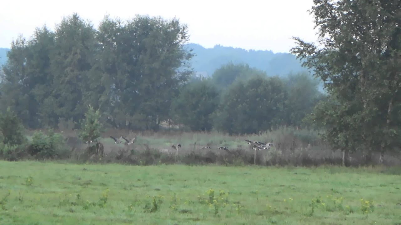 Fietstochtje Tilburg - Riel