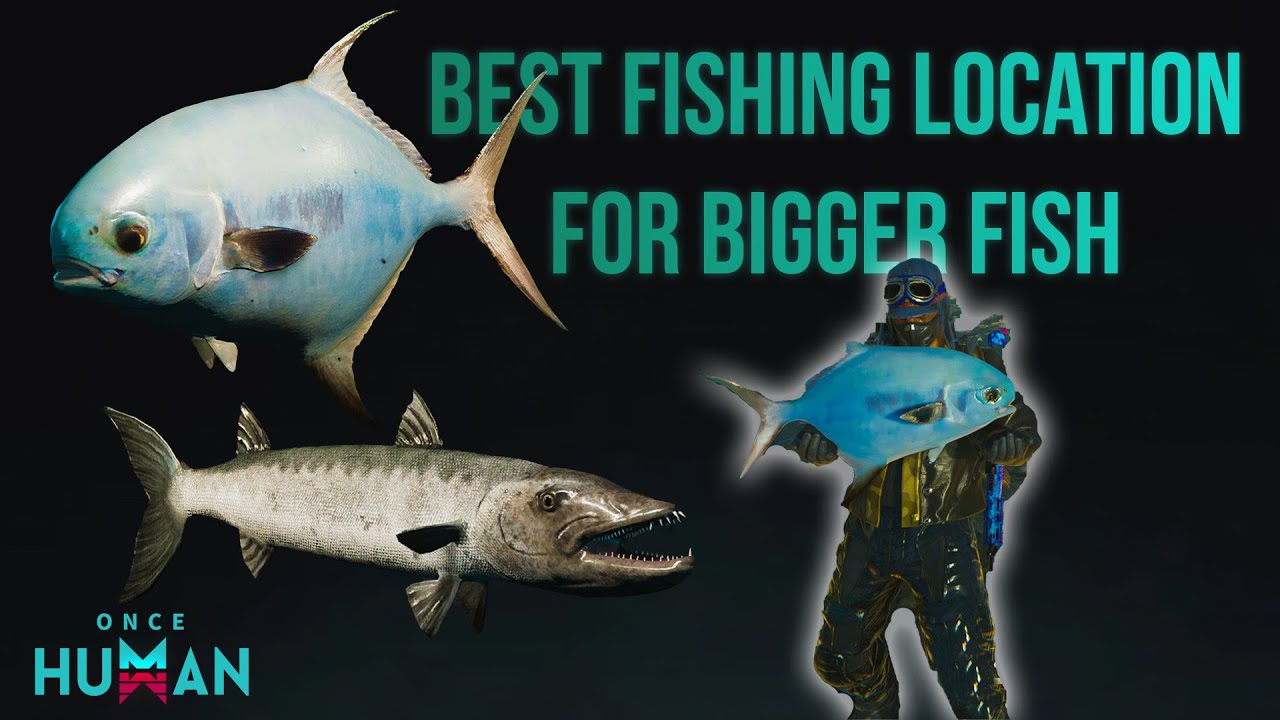 Once human How to get Big fish Barracuda and Pompano
