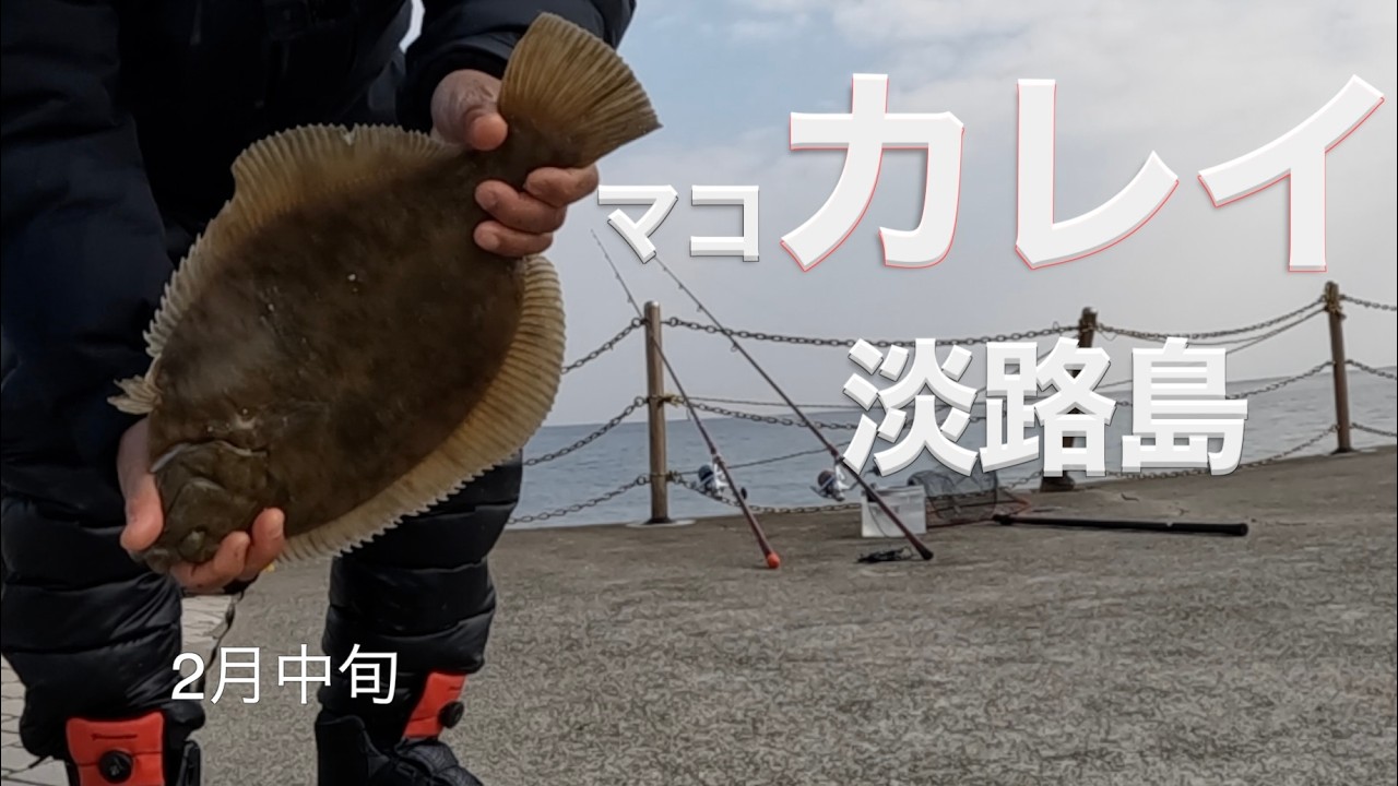 カレイ釣り動画です　　　　　　　　　　　　　　　　　　　　　　#OldAbu#fishing#鯛釣り#船釣り#ダイワ#がまかつ#カレイ#シラサエビ#エビ巻き釣り#キス釣り#投げ釣り