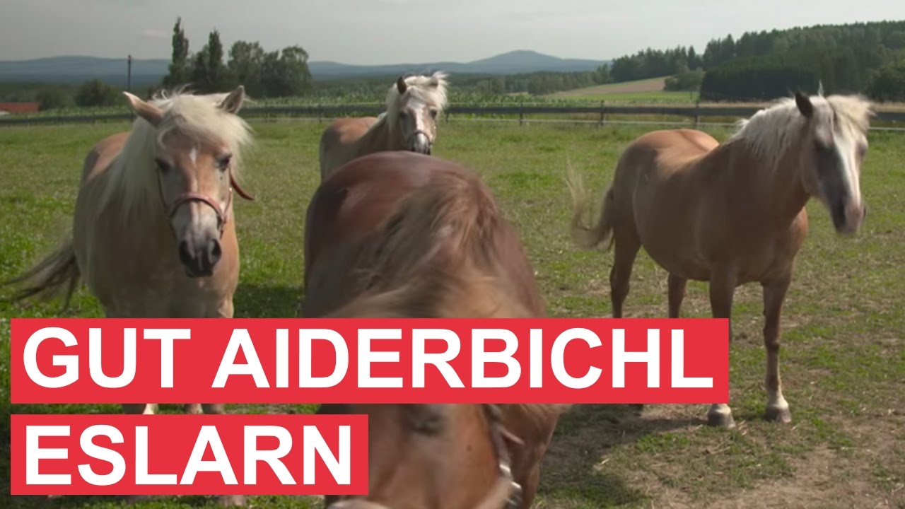 Gut Aiderbichl Eslarn