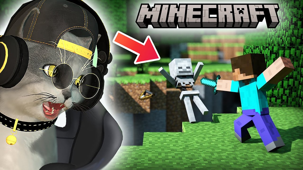 PRVI PUT IGRAM MINECRAFT!!!