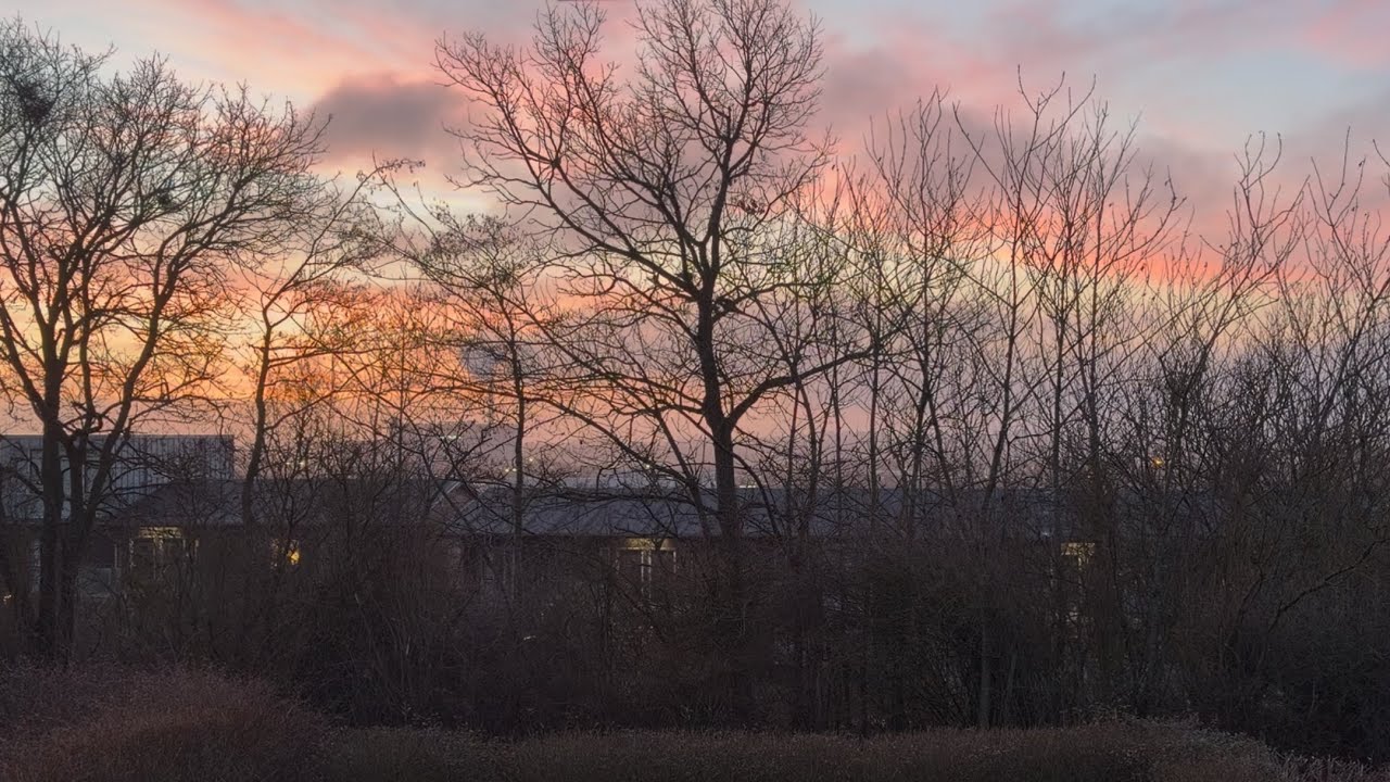 Spring sunrise. Nature and bird sound. Calm and relaxing. Beautiful sky. Romantic setting