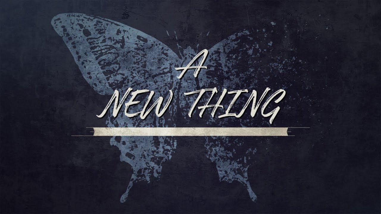 Weekly Word - A New Thing