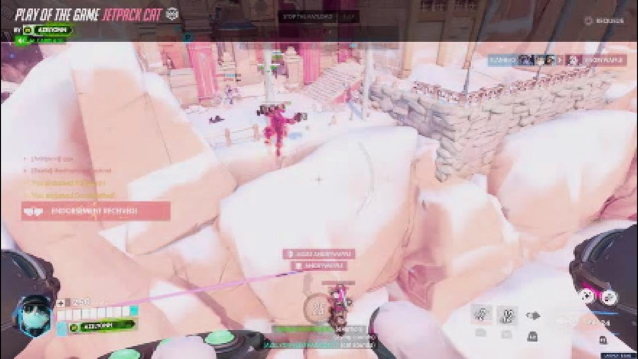 Whip out your hamster