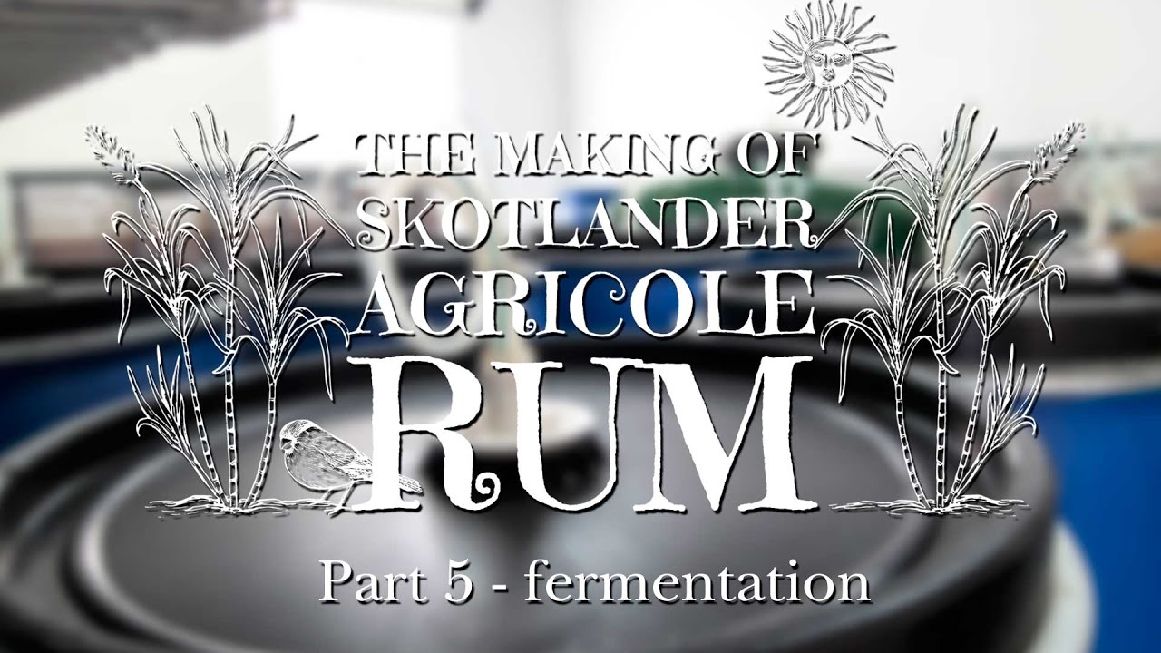 Making Agricole Rum: Fermentation (part 5)