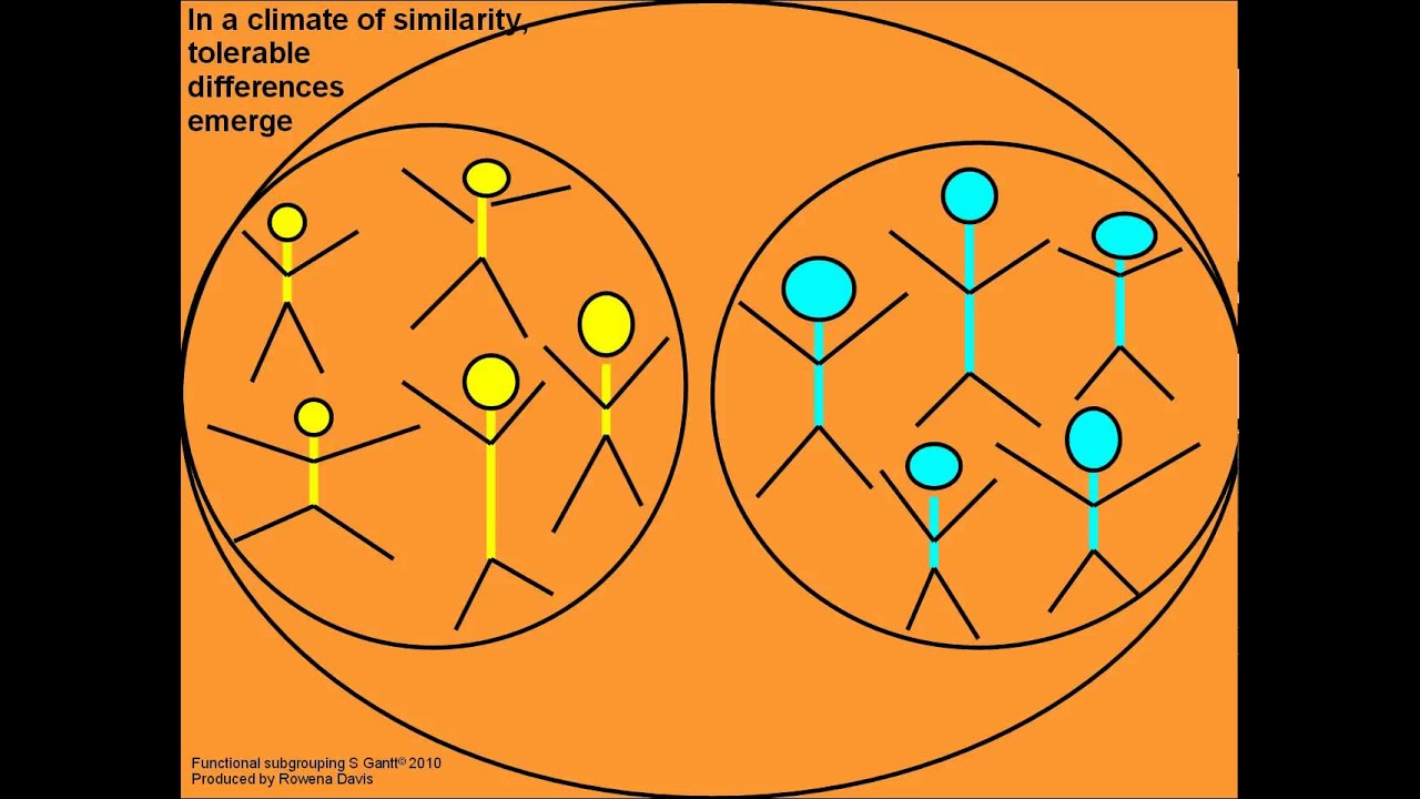 Functional Subgrouping: The core method of Systems-Centered Training (SCT)