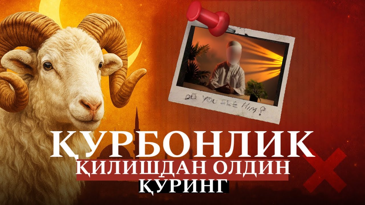 Қурбонлик қилишдан олдин кӯринг!